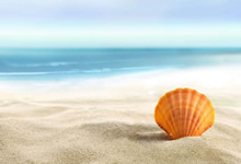 金融分析师报考条件详解