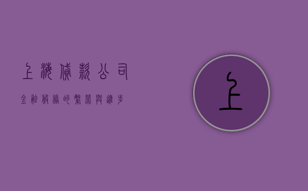 上海贷款公司，金融服务的繁荣与进步