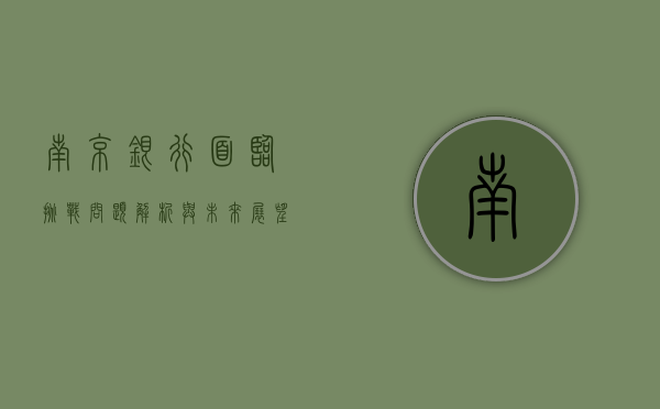 南京银行面临挑战，问题解析与未来展望