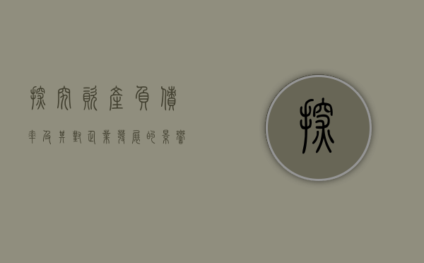 探究资产负债率及其对企业发展的影响