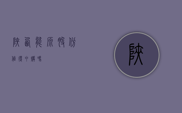 陕西能源股份，值得申购吗？