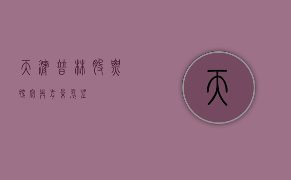 天津普林股票，探究与前景展望