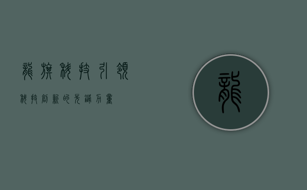 龙旗科技,引领科技创新的先锋力量