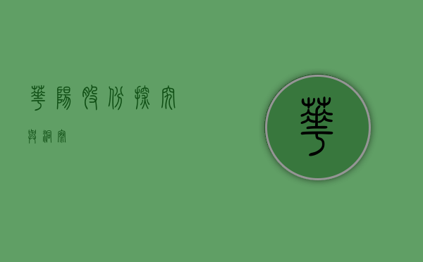 华阳股份，探究与洞察