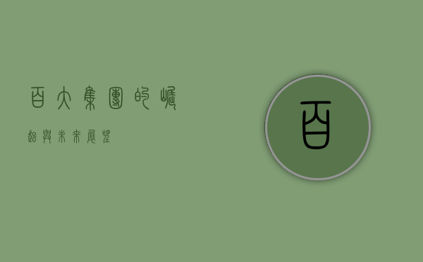 百大集团的崛起与未来展望