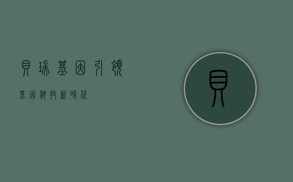 贝瑞基因，引领基因科技新时代