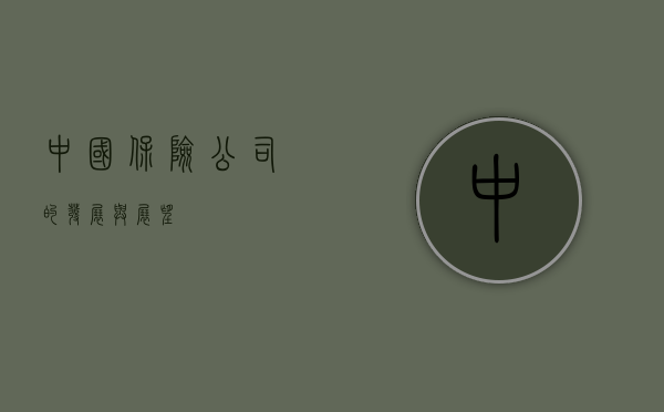中国保险公司的发展与展望