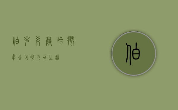 伯克希尔哈撒韦公司的成功之道