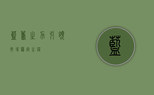 蓝筹之力，引领市场，稳定之锚