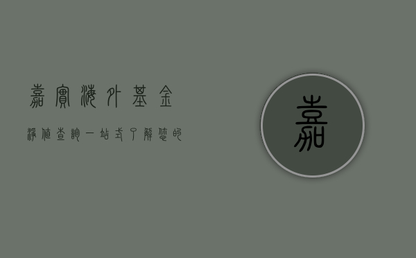 嘉实海外基金净值查询，一站式了解您的海外投资状况