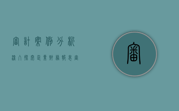 审计案例分析，深入探究企业财务报表审计过程