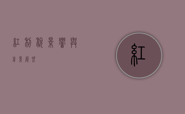 红利税,影响与前景展望