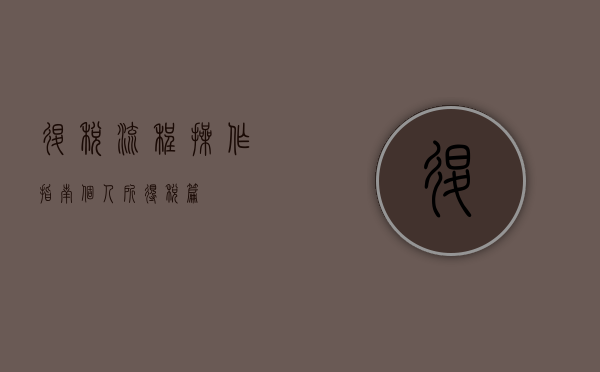 退税流程操作指南,个人所得税篇