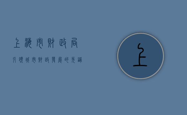 上海市财政局，引领城市财政发展的先锋力量