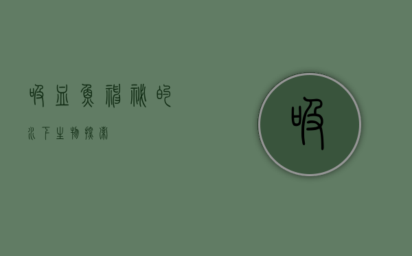 吸血鱼，神秘的水下生物探索