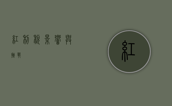 红利税，影响与挑战