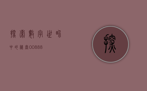 探索数字世界中的秘密，00888
