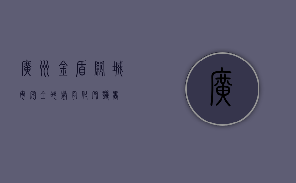 广州金盾网，城市安全的数字化守护者