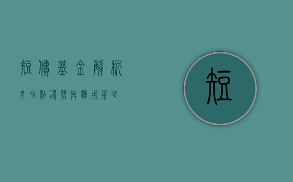 短债基金，解析其特点、优势与应用策略
