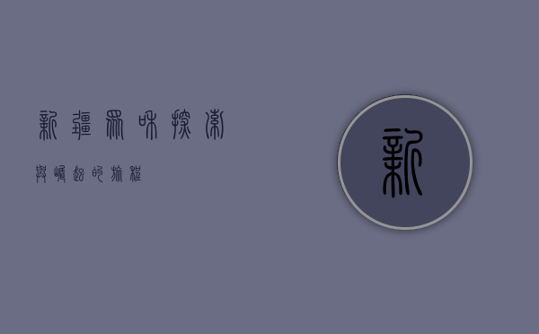 新疆众和,探索与崛起的旅程