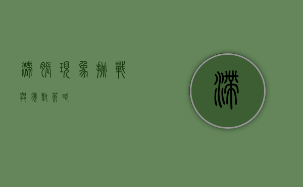 滞胀现象，挑战与应对策略