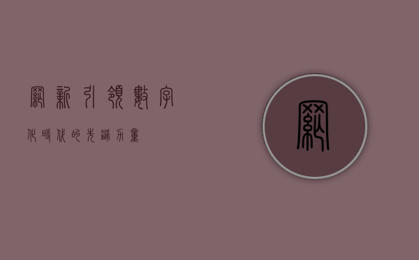 网新，引领数字化时代的先锋力量