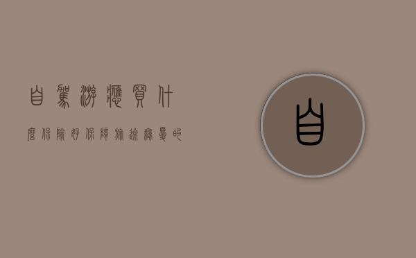 自驾游应买什么保险好，保障旅途无忧的保险选择策略