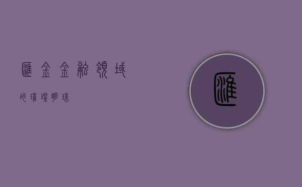 汇金，金融领域的璀璨明珠