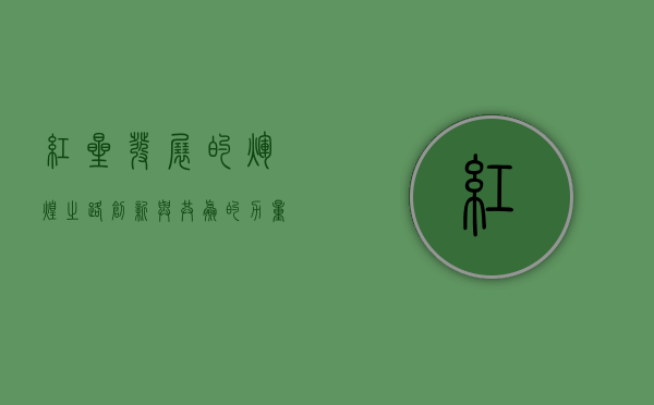 红星发展的辉煌之路，创新与共赢的力量