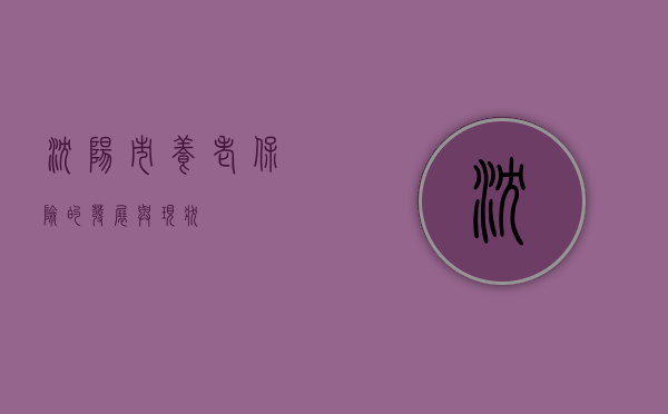 沈阳市养老保险的发展与现状