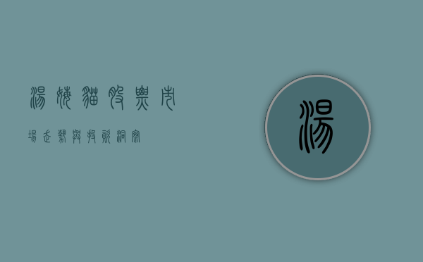 汤姆猫股票，市场走势与投资洞察