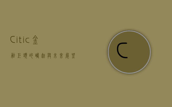 Citic，金融巨头的崛起与未来展望