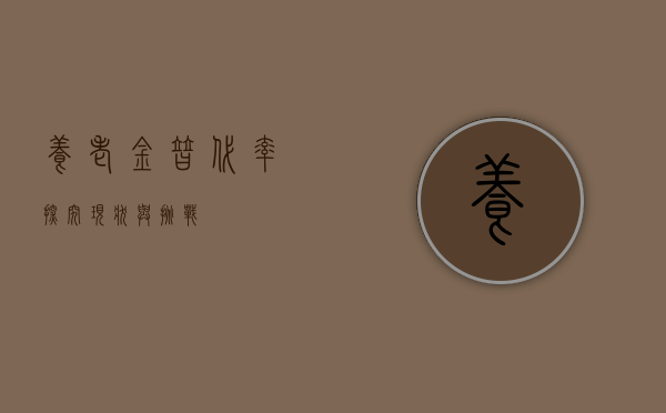 养老金替代率，探究现状与挑战