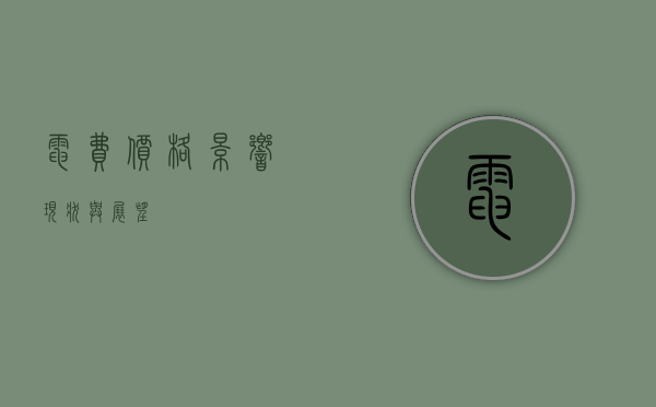 电费价格，影响、现状与展望