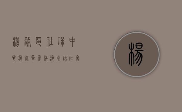 杨浦区社保中心,服务群众,构筑和谐社会保障网络