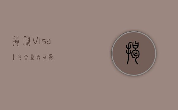 揭秘Visa卡的含义与功能