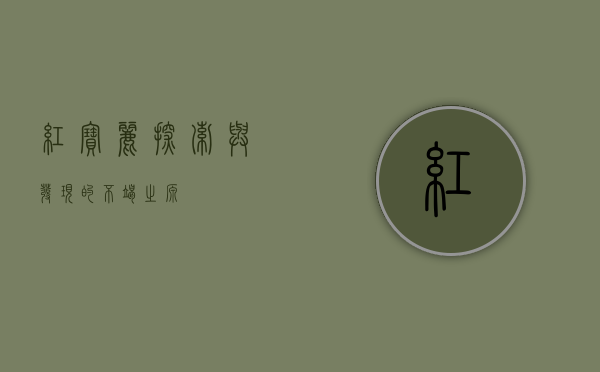 红宝丽，探索与发现的不竭之源