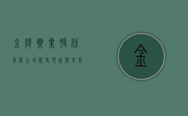金陵药业股份有限公司，历史、现状与未来展望
