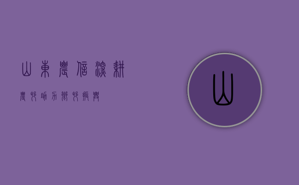 山东农信，深耕农村，助力乡村振兴