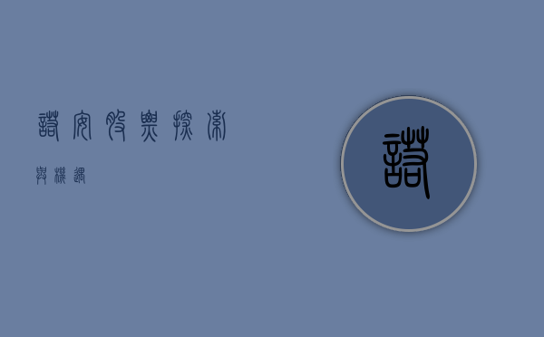 诺安股票，探索与机遇