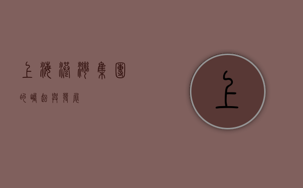 上海港湾集团的崛起与发展