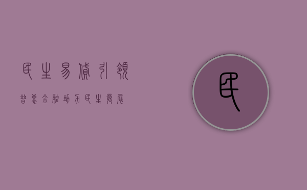 民生易贷，引领普惠金融，助力民生发展