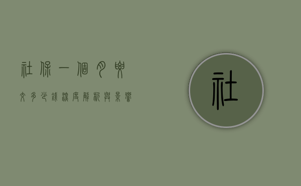 社保一个月要交多少钱，深度解析与影响因素