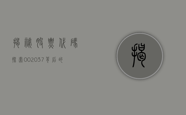 揭秘股票代码，探索002037背后的故事