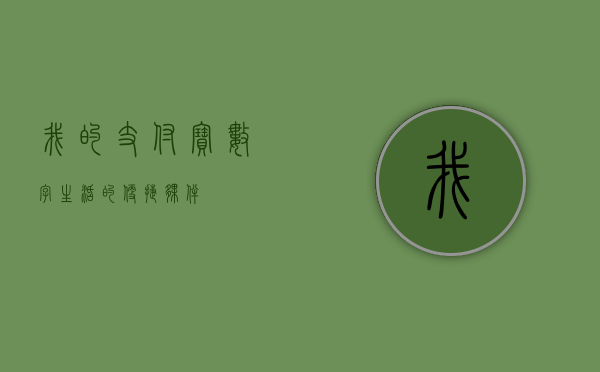 我的支付宝，数字生活的便捷伙伴