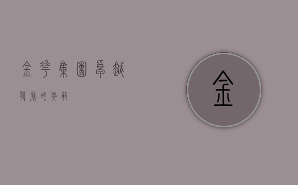 金花集团，卓越发展的典范