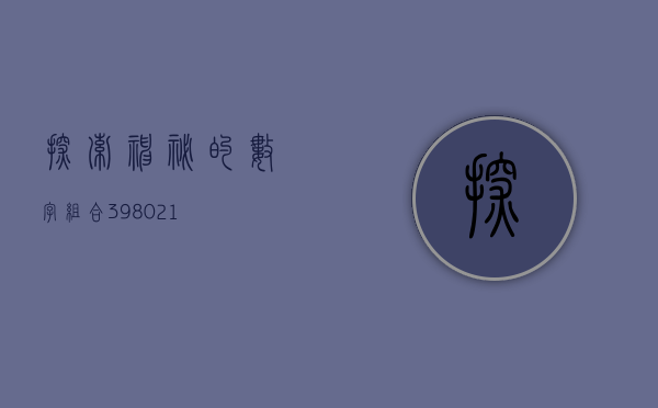 探索神秘的数字组合，398021