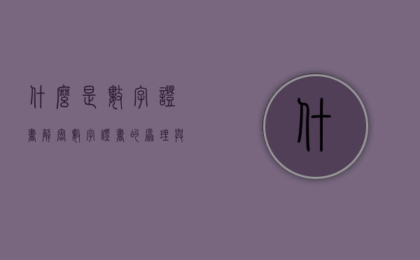 什么是数字证书？解密数字证书的原理与应用