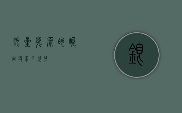 银星能源的崛起与未来展望