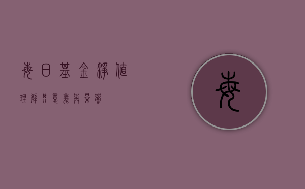 每日基金净值，理解其意义与影响